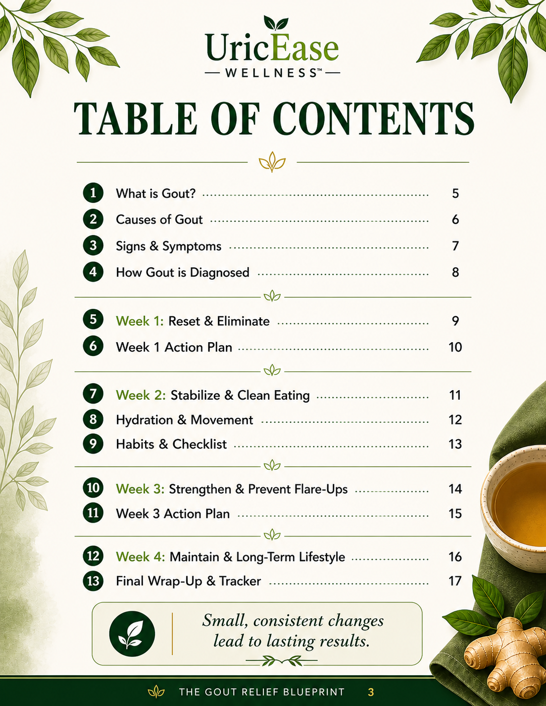 Gout Relief Blueprint | 30-Day Natural System, Low-Purine Meal Plan (Digital Download)