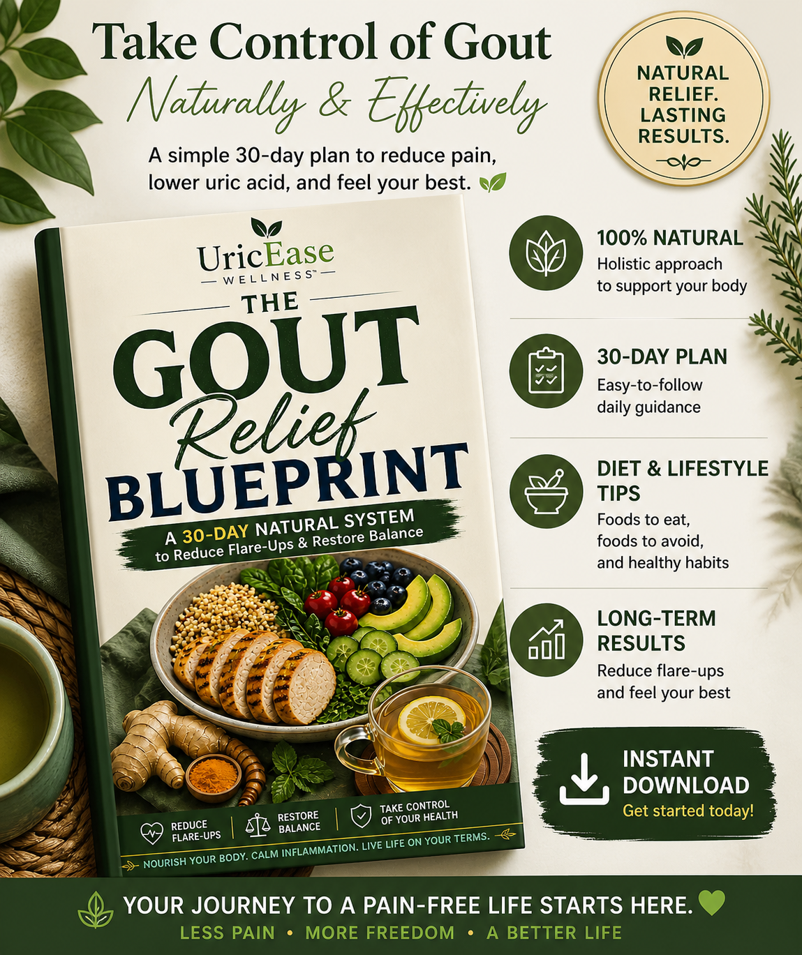 Gout Relief Blueprint | 30-Day Natural System, Low-Purine Meal Plan (Digital Download)
