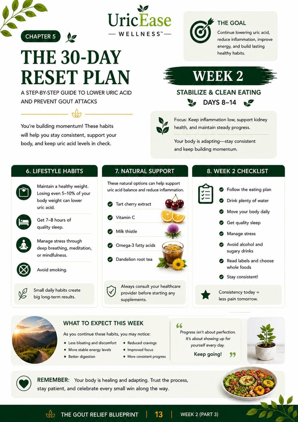 Gout Relief Blueprint | 30-Day Natural System, Low-Purine Meal Plan (Digital Download)